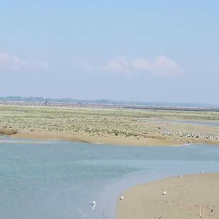 Superbe Studio Au Crotoy Acces Direct Plage 르크로토이 외부 사진